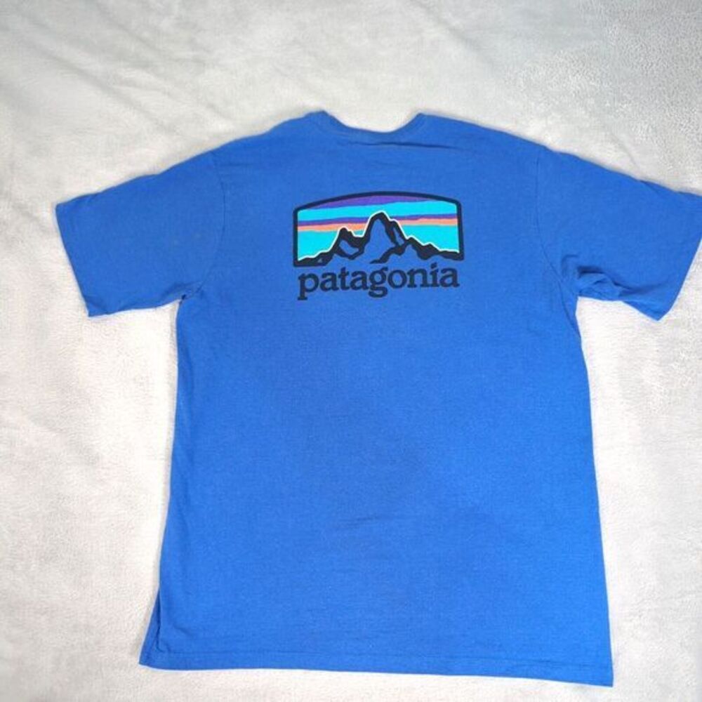 Patagonia Blue Short Sleeve Tee